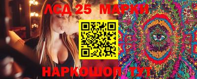 гашик Новодвинск