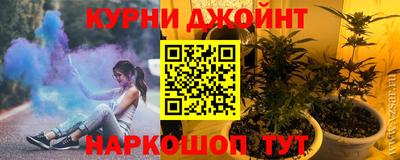 гашик Новодвинск