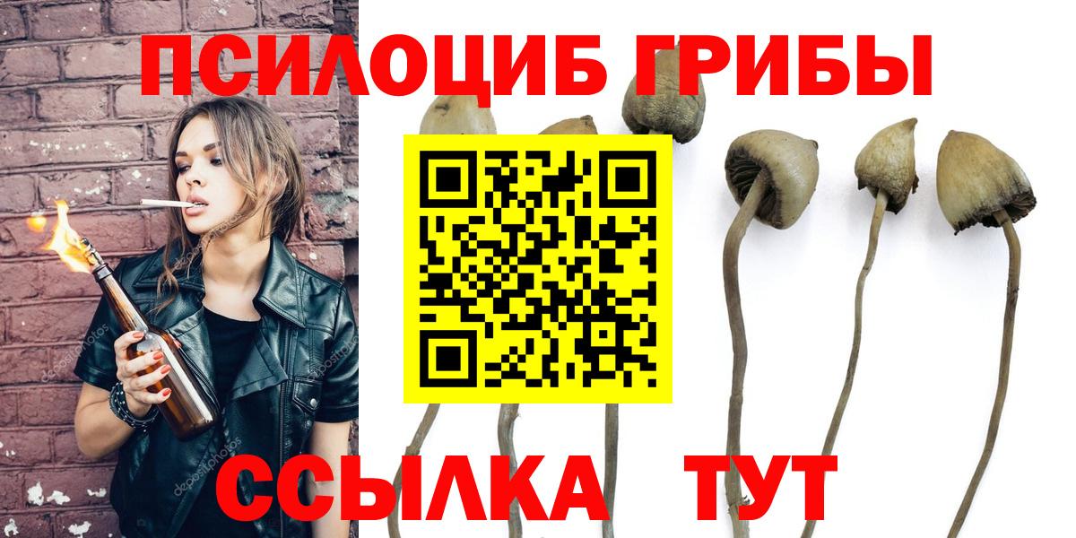 Галлюциногенные грибы Cubensis  купить  сайты  Озёры  Псилоцибиновые грибы Cubensis  Вход с VPN 